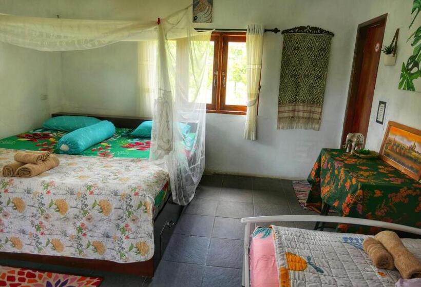 غرفة سوبيريور سرير كينج, Sumatra Orangutan Discovery Villa