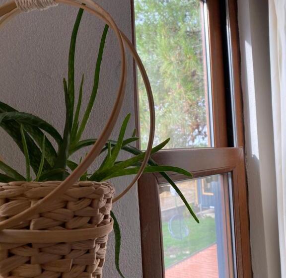 חדר סטנדרט, Vayu Hotel&tiny Houses