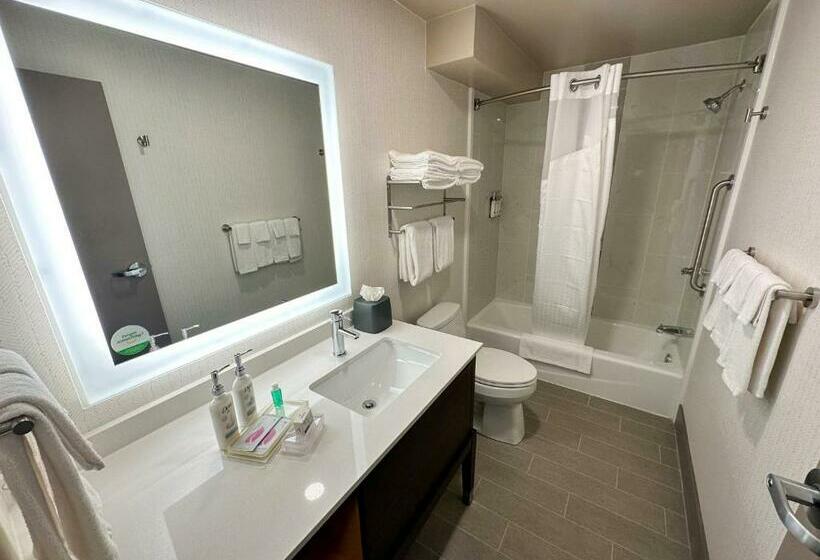 غرفة قياسية سرير كينج, Holiday Inn   Kansas City   Downtown, An Ihg