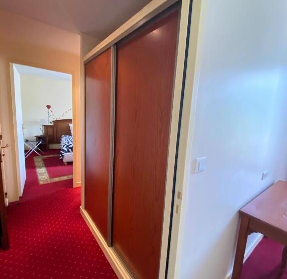 スタンダード4人部屋, Home Le Soft Vic Sur Cère