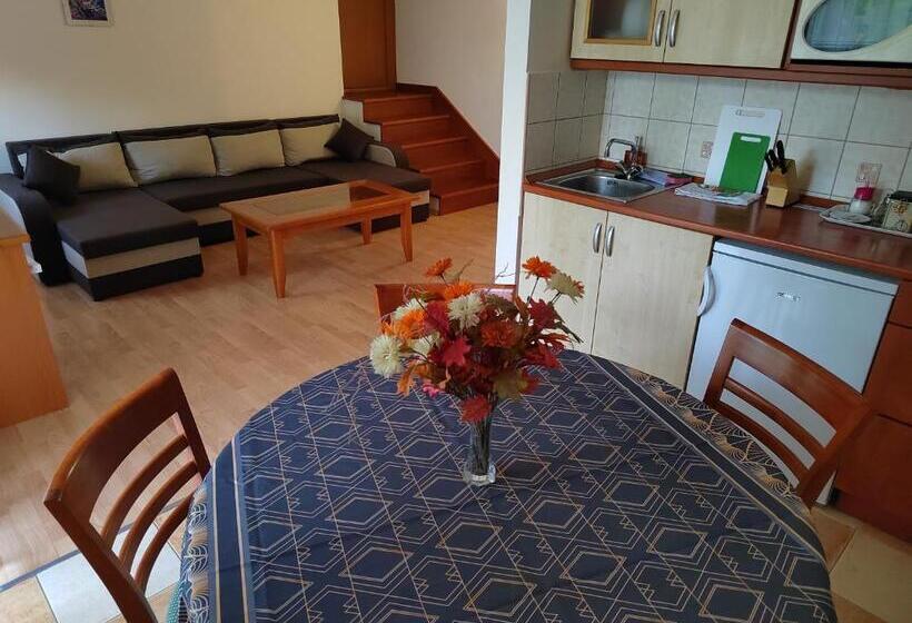 شقة غرفة واحدة مزودة بتراس, Garda Wellness Apartmanház