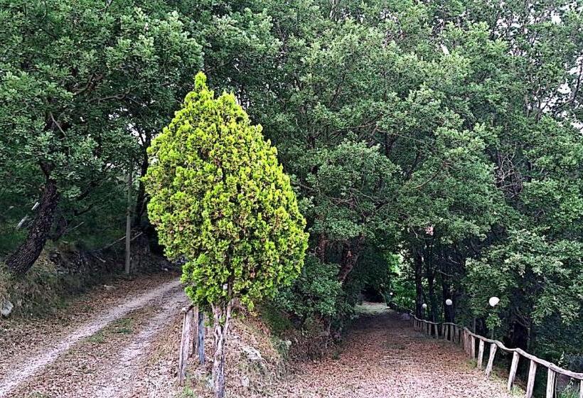 חדר אקונומי, Agriturismo Cupiglione