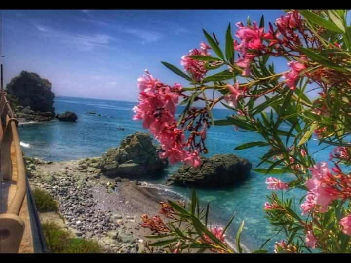 חדר אקונומי, Agriturismo Cupiglione