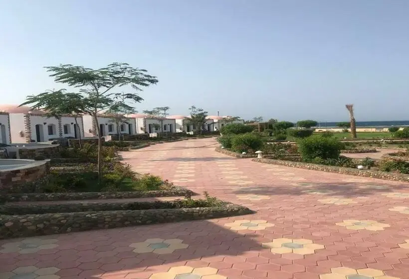 اتاق استاندارد با تخت بزرگ, Dolphin Continental