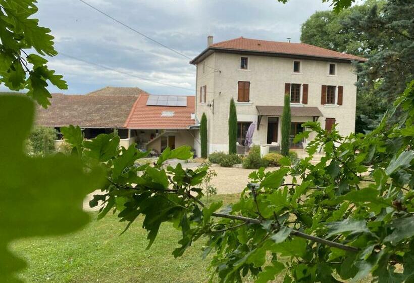 标准房带园景, Les Berouds