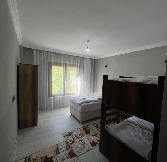 דירת חדר דלוקס, şen Buti̇k Otel Ve Bungalov