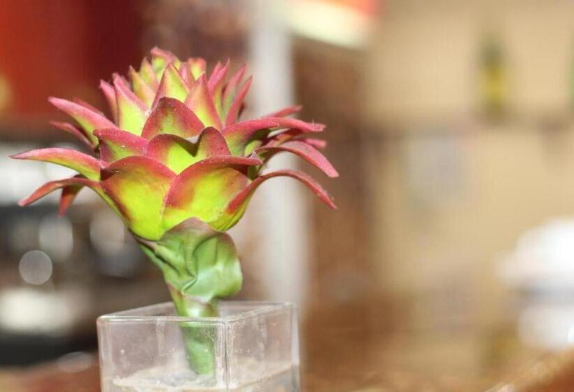 エコノミールーム, Al Farhan Apartment Al Hamra Jeddah