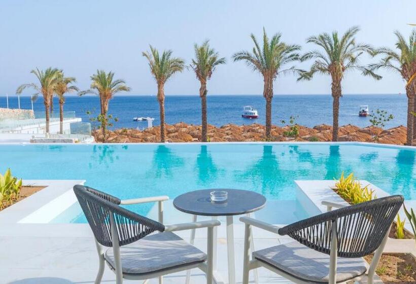 سوئیت کلاب, White Hills Resort