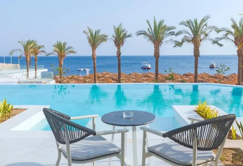سوئیت کلاب, White Hills Resort