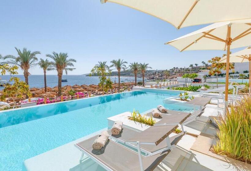 سوئیت کلاب, White Hills Resort