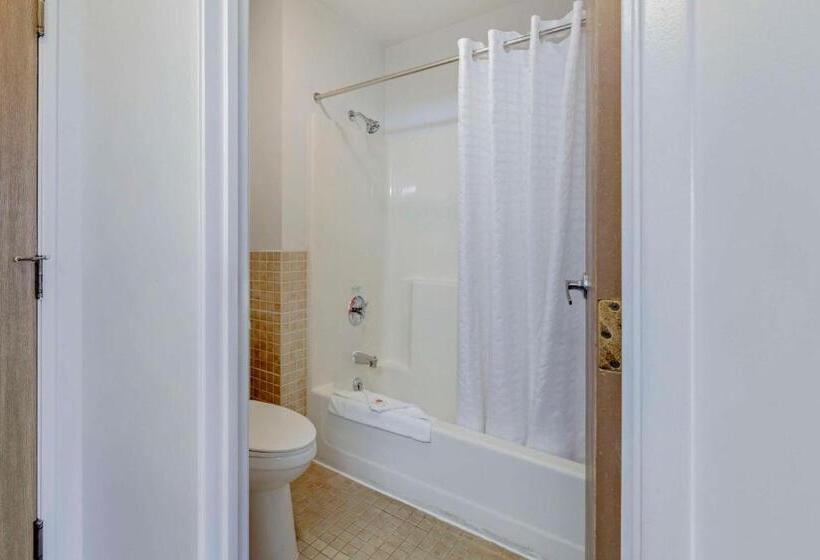 غرفة عائلية سرير بطابقين, Atlantis Family Waterpark Hotel, Ascend Hotel Collection