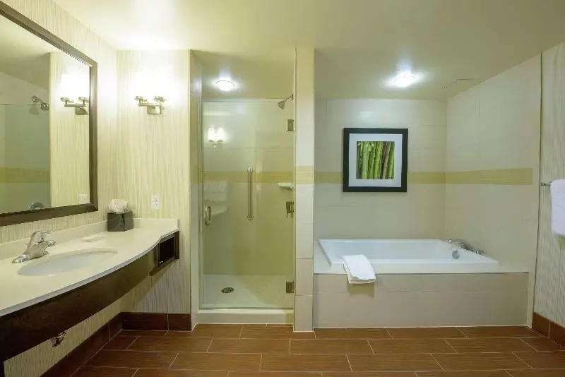 キングサイズベッドのスイートルーム, Hilton Garden Inn Exton / West Chester