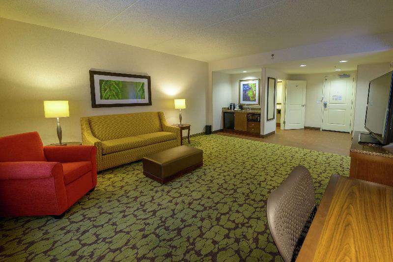 带大床的套房, Hilton Garden Inn Exton / West Chester
