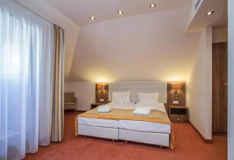 コンフォートルーム, Bükkös Hotel & Spa