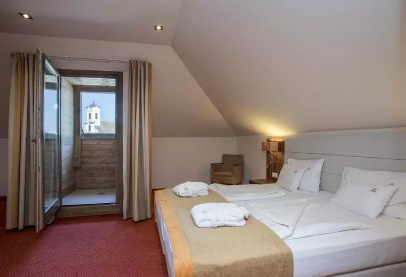 コンフォートルーム, Bükkös Hotel & Spa