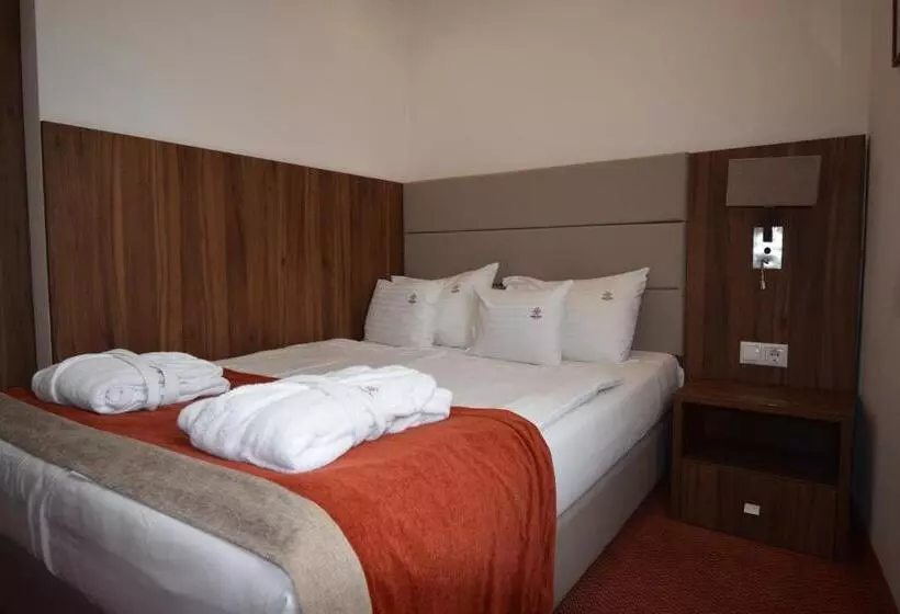 ベーシックルーム, Bükkös Hotel & Spa