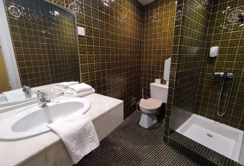 スタンダードルーム, Citotel Lion D Or