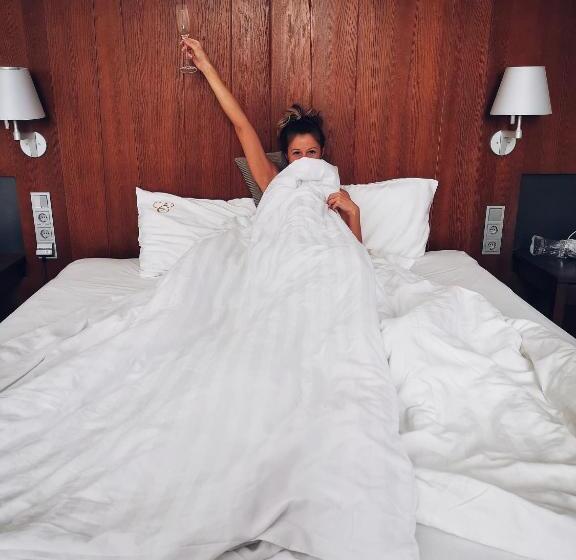 غرفة قياسية, Erzsébet Nagy Szálloda