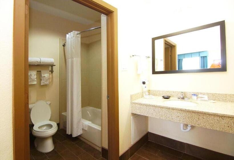 חדר סטנדרט עם מיטת קינג, Americas Best Value Inn & Suites Cuero