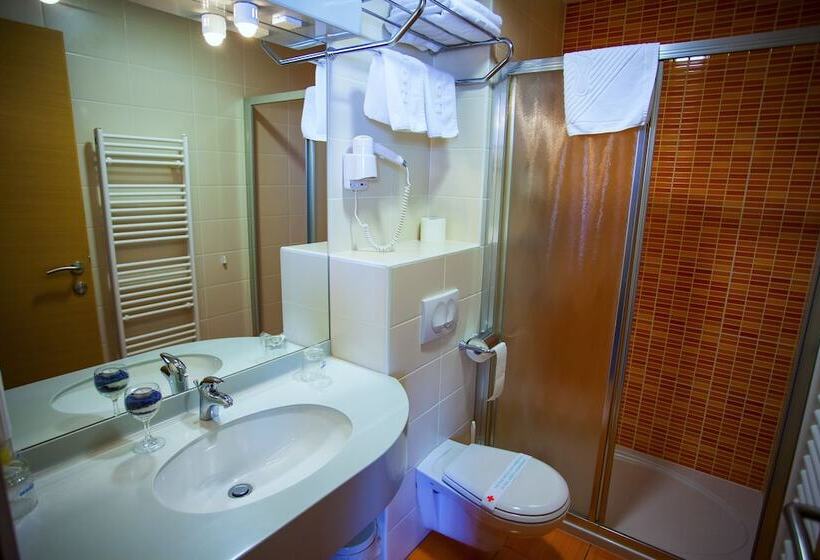 اتاق استاندارد یک نفره, Bela Krajina