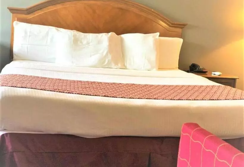 スタンダードシングルルーム, Countryside Inn Richmondville