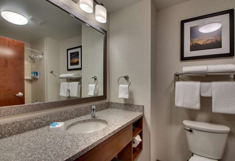 豪华房间, Drury Inn & Suites Iowa City Coralville