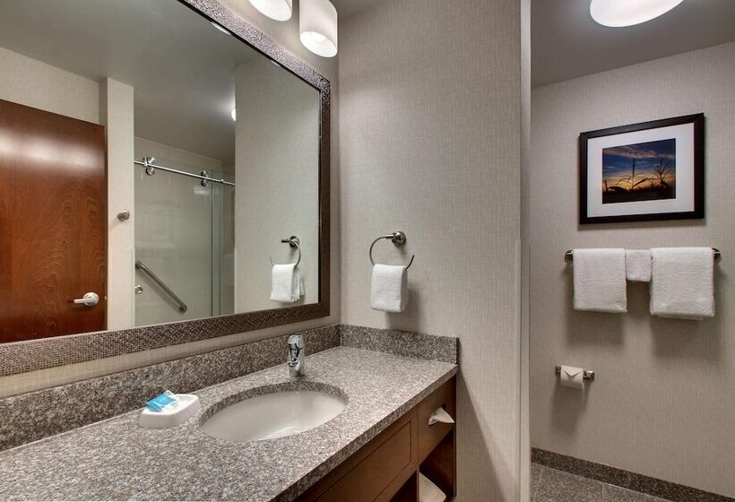 Номер Deluxe, Drury Inn & Suites Iowa City Coralville