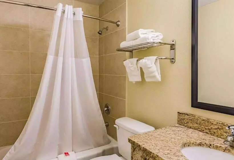 ２ダブルベッドのスタンダードルーム, Econo Lodge Lexington Downtown Near I81