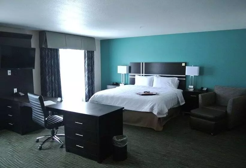キングサイドベッドのスタンダードワンルーム, Hampton Inn Carrizo Springs