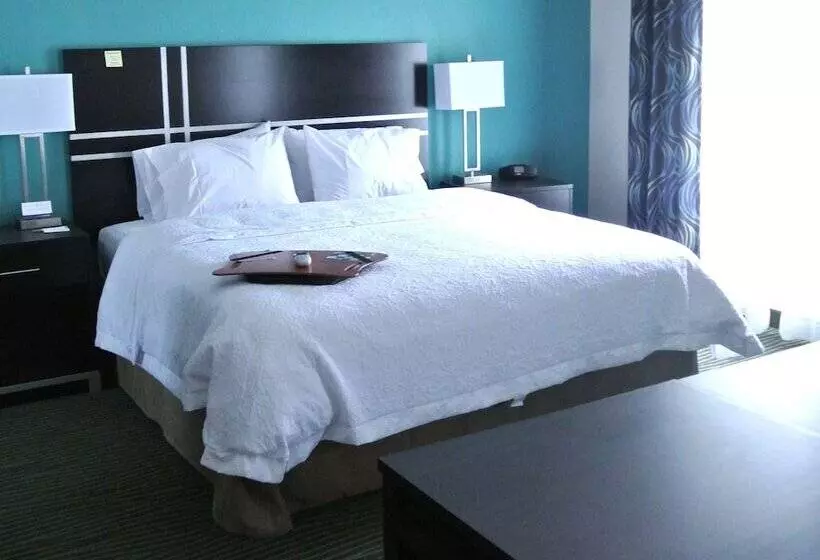 キングサイドベッドのスタンダードワンルーム, Hampton Inn Carrizo Springs