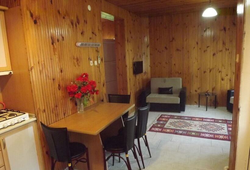 آپارتمان 1 خوابه, Hamsilos Apart