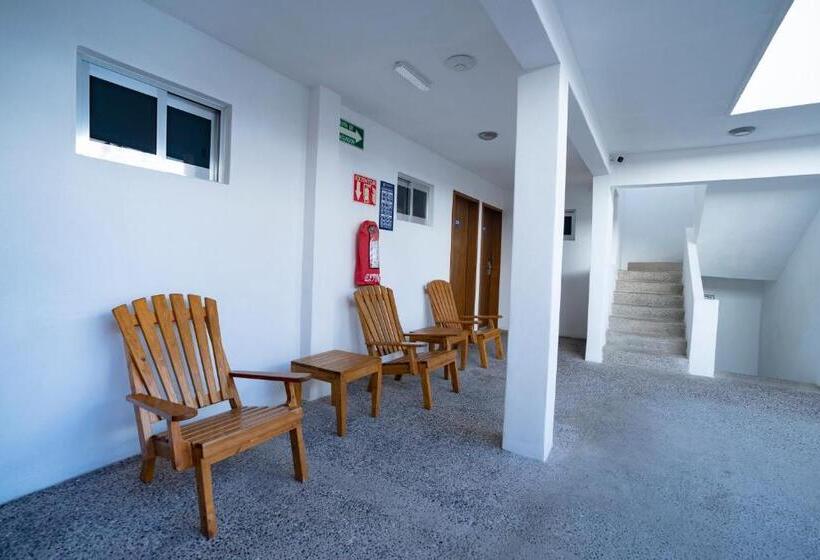 スタンダードルーム, Star Manzanillo