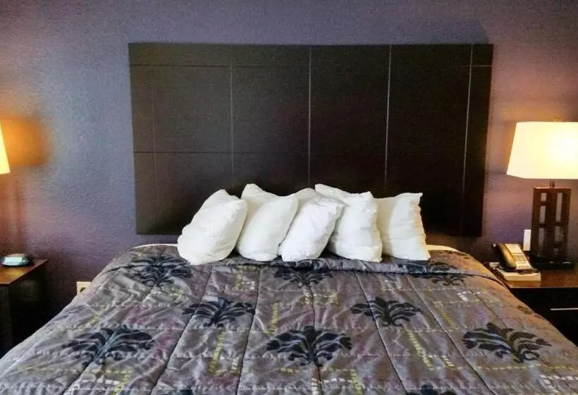 キングサイズベッドのデラックスルーム, Studio 6beeville, Tx