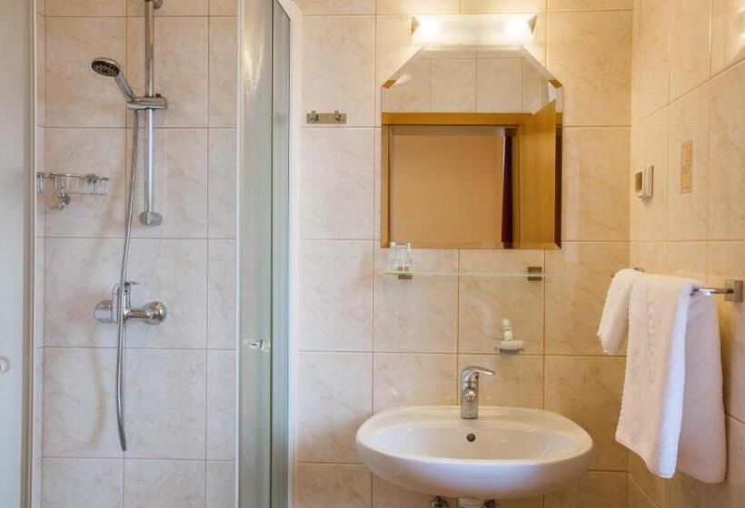 اتاق استاندارد یک نفره, Pension Török