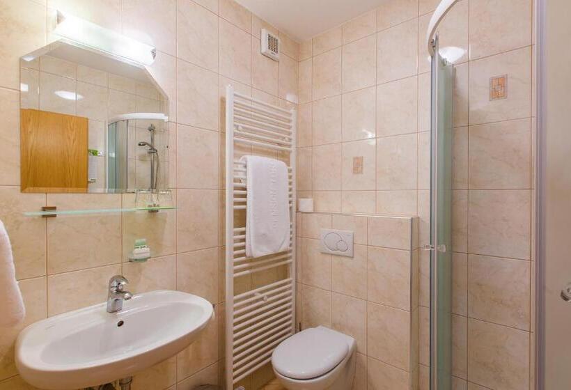 اتاق استاندارد یک نفره, Pension Török