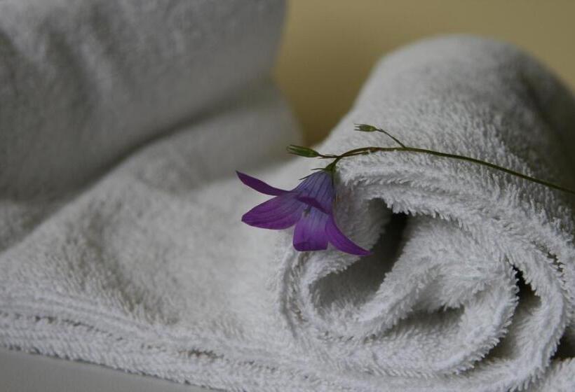 اتاق استاندارد یک نفره, Audenis