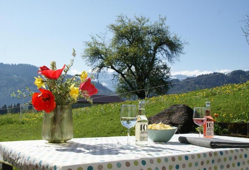 إستوديو قياسى, Schweizer Hof