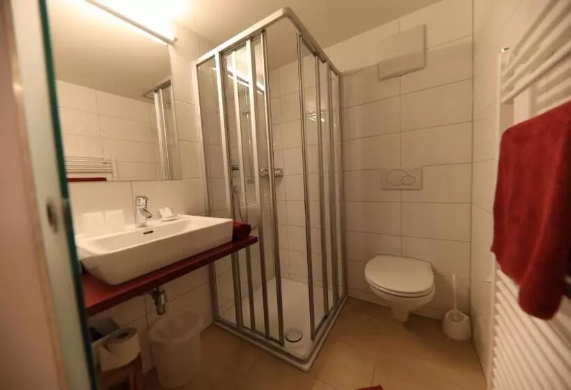Standard Yhden Hengen Huone, Gasthof Ochsen