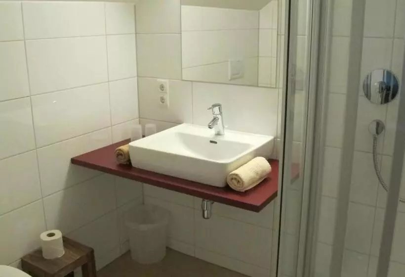 Standard Yhden Hengen Huone, Gasthof Ochsen