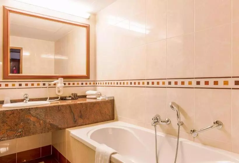 エコノミールーム, Van Der Valk Hotel Emmen