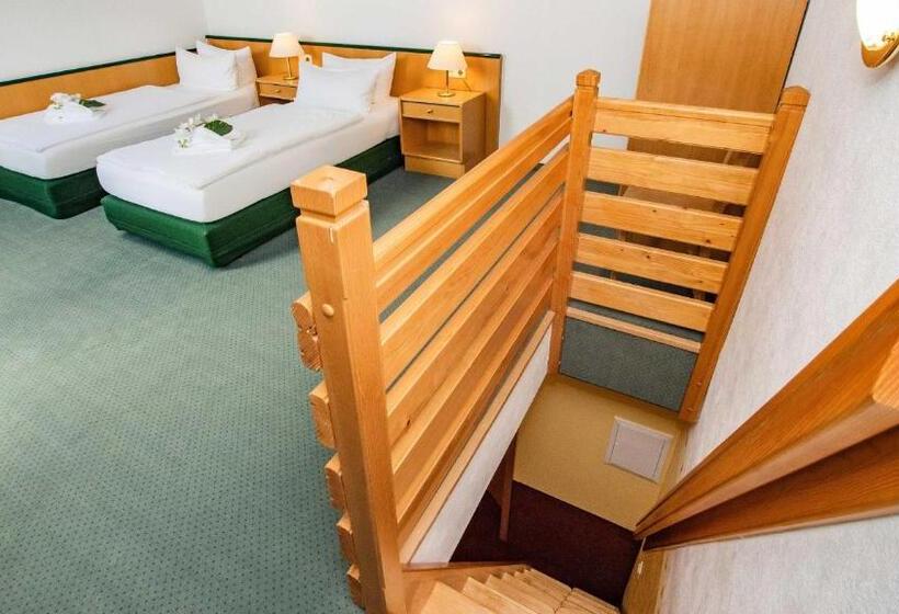 Номер Deluxe, Garni Nussbaumhof