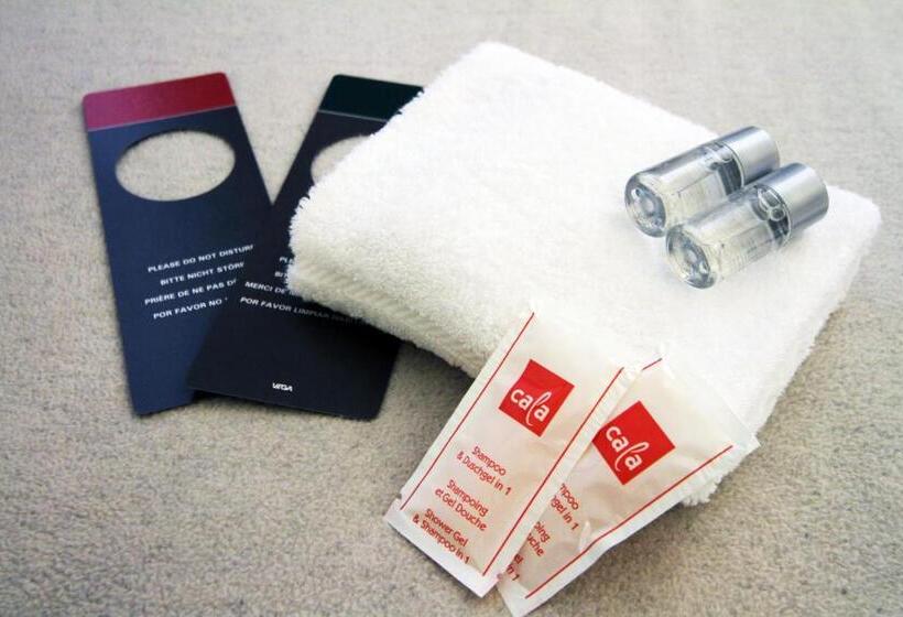 舒适型房间, Premium