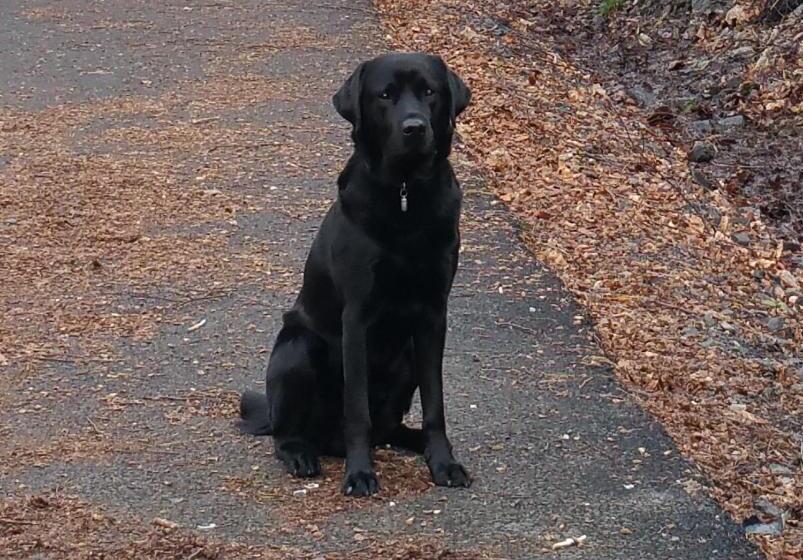 شاليه غرفة نوم واحدة, The Four Seasons