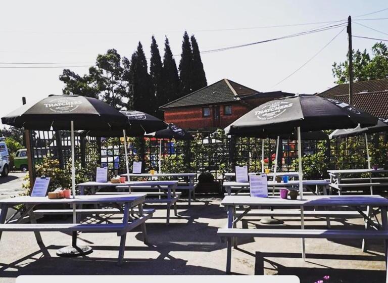 غرفة ديلوكس, The Swan