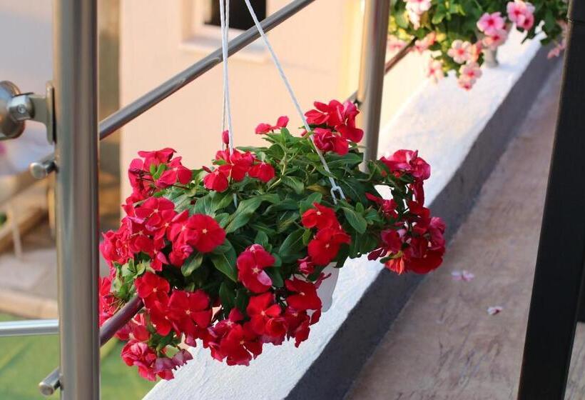 דירת חדר, Vila Elarad