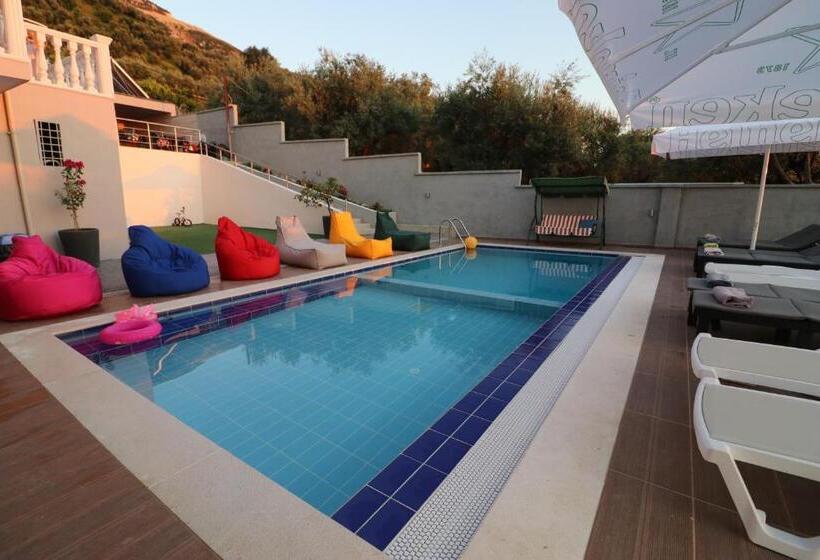 דירת חדר, Vila Elarad