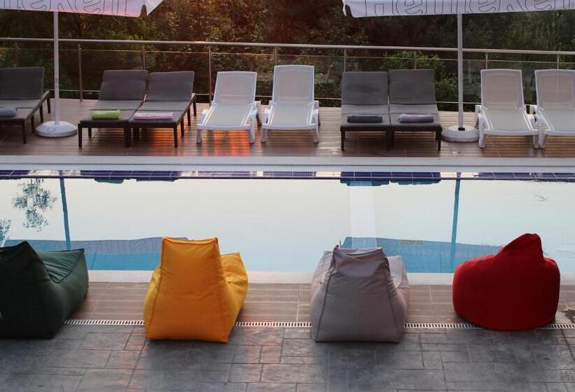 דירת חדר, Vila Elarad