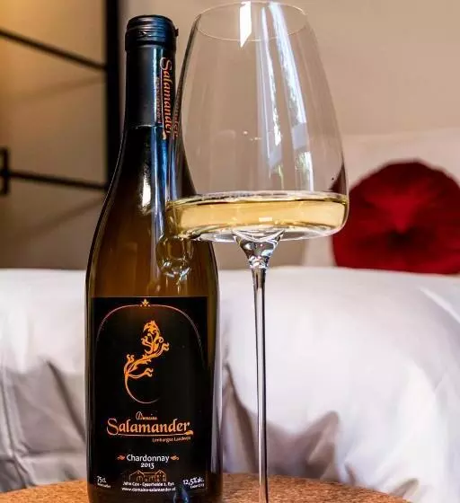 اتاق استاندارد یک نفره, Dormio Wijnhotel Valkenburg