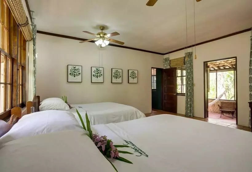 デラックスバンガロー, Sweet Songs Jungle Lodge, A Muy’ono Resort