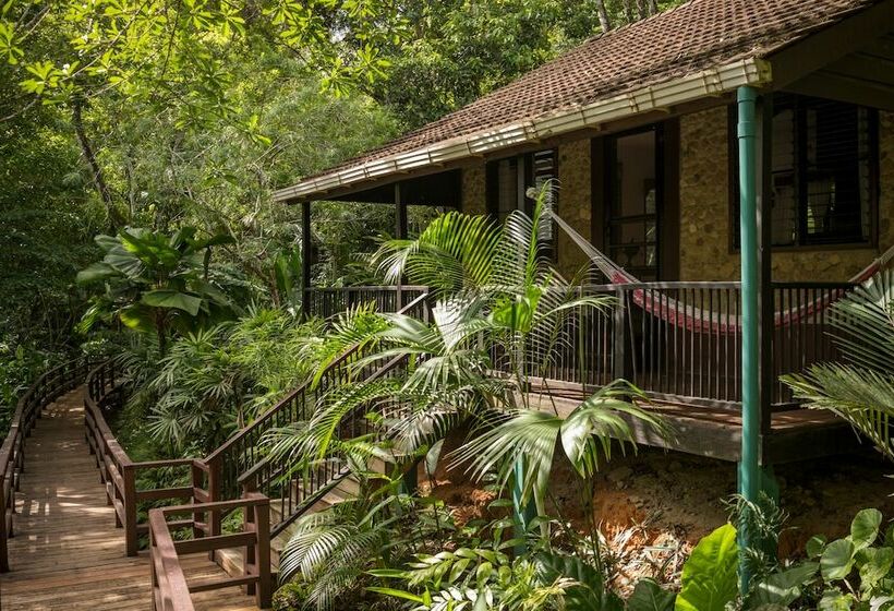 בקתה דלוקס, Sweet Songs Jungle Lodge, A Muy’ono Resort